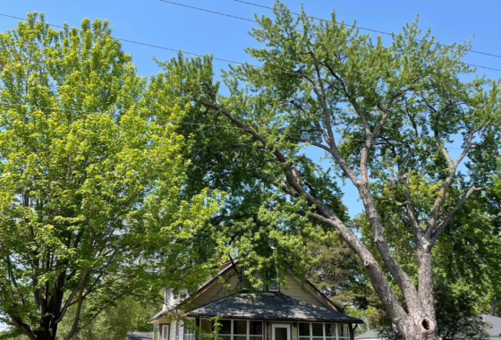 6774055 1125 9th Avenue Se