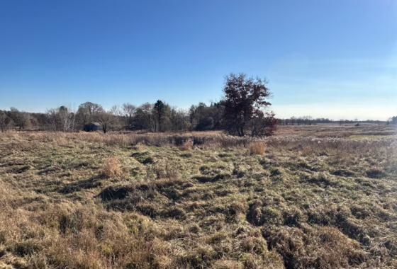 6819359 6037 Scenic View Court