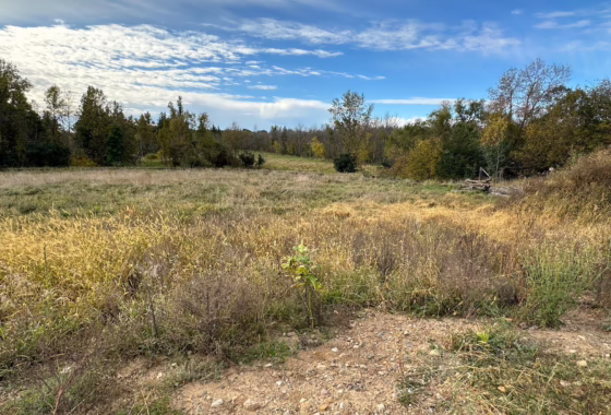 6614097 411 Estate Drive