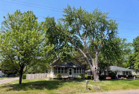 6733797 1125 9th Avenue Se