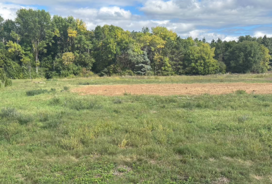 7146044 512 Northern Meadows Lane