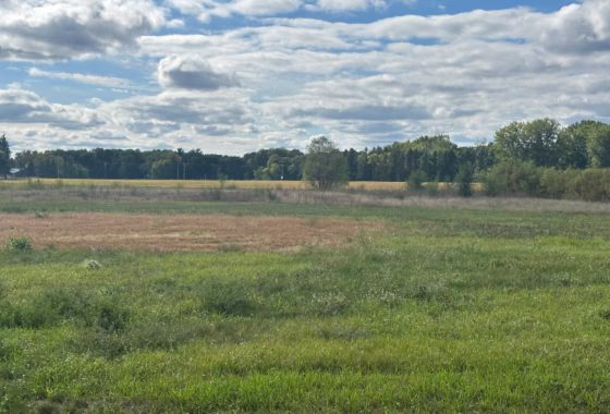 6597499 513 Northern Meadows Lane